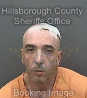 Rosado David - Hillsborough County, Florida 