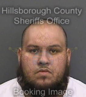 Luera David - Hillsborough County, Florida 