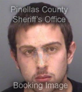 Miller Andrew - Pinellas County, Florida 