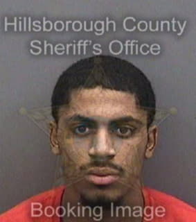 Lewis Roy - Hillsborough County, Florida 