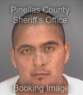 Martinez Jaime - Pinellas County, Florida 