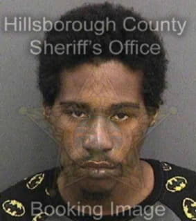 Mitchell Michael - Hillsborough County, Florida 