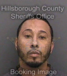 Cortes Anthony - Hillsborough County, Florida 