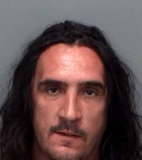 Johnson David - Pinellas County, Florida 