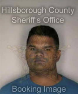 Delgado Jesus - Hillsborough County, Florida 