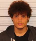 Evins Kaleb - Shelby County, Tennessee 