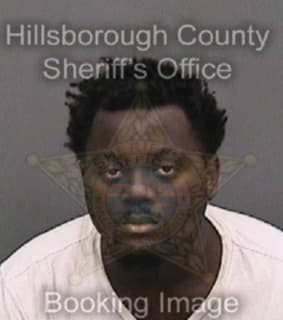 Lee Matthew - Hillsborough County, Florida 