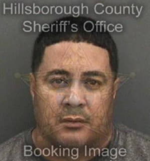 Perezlozada Gilberto - Hillsborough County, Florida 