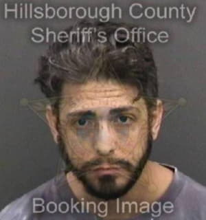 Levine Matthew - Hillsborough County, Florida 