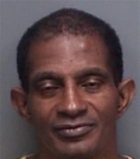 Johnson Ray - Pinellas County, Florida 