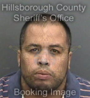 Ortiz Hedson - Hillsborough County, Florida 