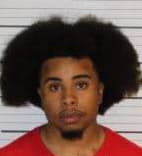 Warren Javontae - Shelby County, Tennessee 