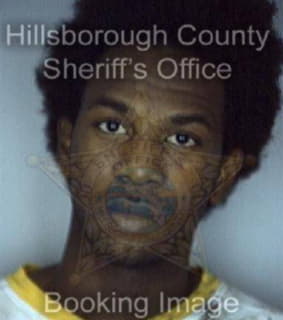 Mcfarlane Mark - Hillsborough County, Florida 