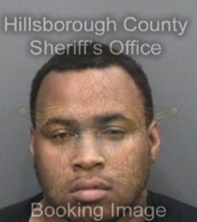 Newton Michael - Hillsborough County, Florida 