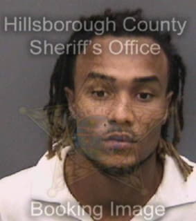 Allen Naim - Hillsborough County, Florida 