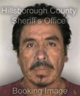 Sandoval David - Hillsborough County, Florida 