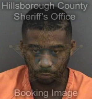 Mcnish Mario - Hillsborough County, Florida 