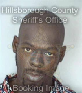 Watkins Michael - Hillsborough County, Florida 