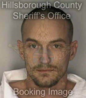 Harris Robin - Hillsborough County, Florida 
