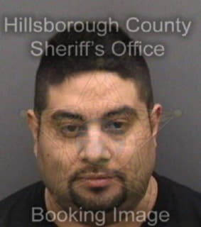 Martinez Demietrio - Hillsborough County, Florida 