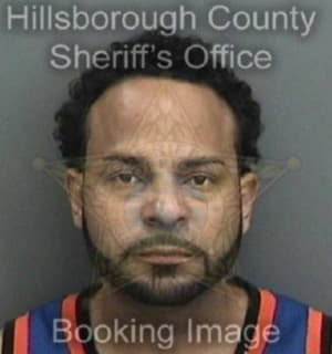 Deleon Jesus - Hillsborough County, Florida 