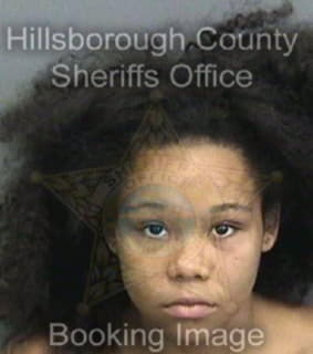 Miles Kaylie - Hillsborough County, Florida 