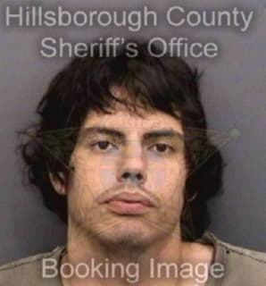 Perez Mark - Hillsborough County, Florida 