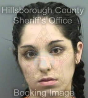 Dibenedetto Michelle - Hillsborough County, Florida 