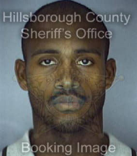 Mcelroy Vincent - Hillsborough County, Florida 