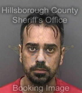 Alazzawi Amin - Hillsborough County, Florida 