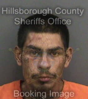 Nieves Anthony - Hillsborough County, Florida 