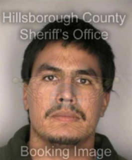 Rojas Eliecer - Hillsborough County, Florida 