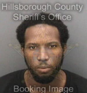 Lewis Christopher - Hillsborough County, Florida 