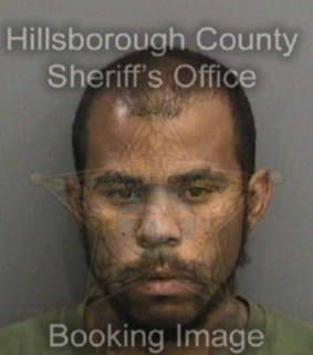 Mingo Joseph - Hillsborough County, Florida 