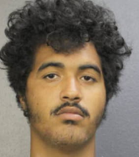 Reyes Heriberto - Broward County, Florida 