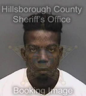 Levy Erik - Hillsborough County, Florida 