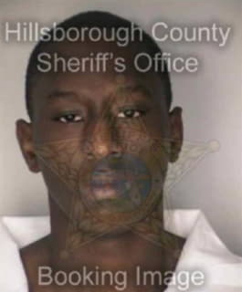 Wilson Leroy - Hillsborough County, Florida 