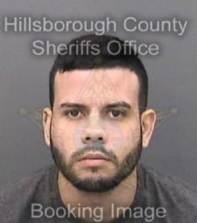 Rodriguezarroyo Gilbert - Hillsborough County, Florida 