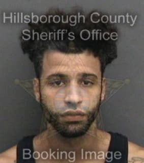 Beltre Joseph - Hillsborough County, Florida 