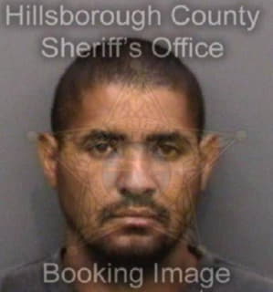 Rosariobeltran Julian - Hillsborough County, Florida 