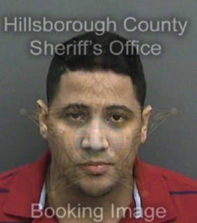 Lopez Pablo - Hillsborough County, Florida 