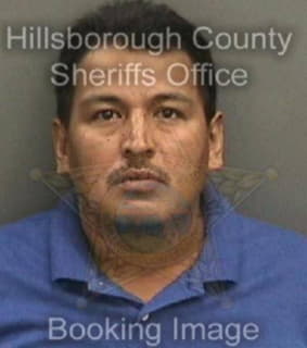 Barrera-Pineda William - Hillsborough County, Florida 