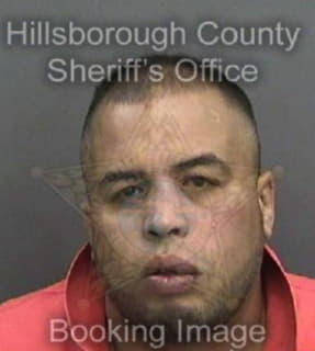 Ortiz Hedson - Hillsborough County, Florida 