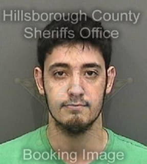 Kelly Matthew - Hillsborough County, Florida 