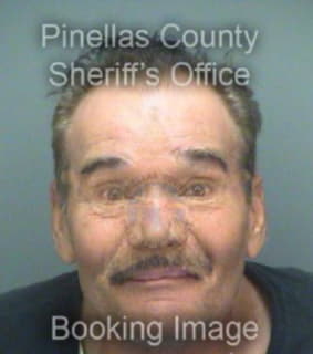 Diaz Rafael - Pinellas County, Florida 