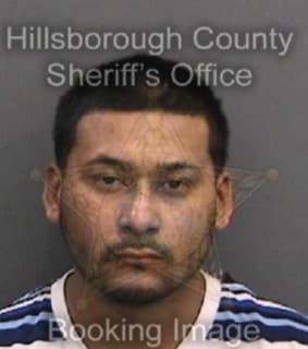 Mejia Raul - Hillsborough County, Florida 