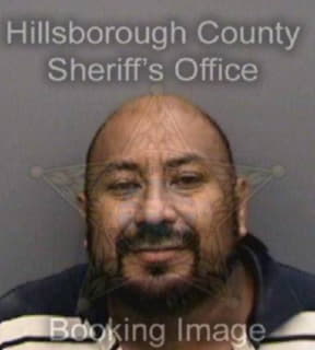 Dominguezotero Carlos - Hillsborough County, Florida 