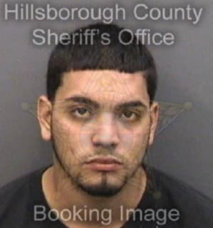 Ramosmelendez Edgardo - Hillsborough County, Florida 