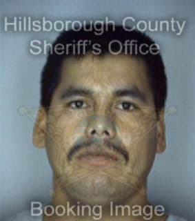 Molina Elvin - Hillsborough County, Florida 