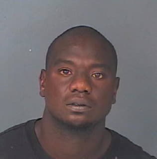 Burgess Louis - Hernando County, Florida 